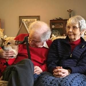 Meet your Posher, Ian